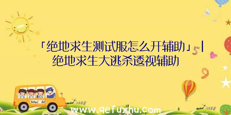 「绝地求生测试服怎么开辅助」|绝地求生大逃杀逶视辅助